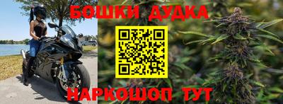 крисы Будённовск